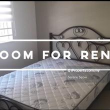 Terrace house for Rent