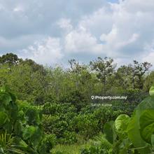 Pahang, Mentakab, Lanchang, Agricultural Land For Sale