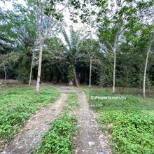 Agriculture Land for Sale, Labis