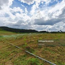 Senai / Seelong Agriculture Land