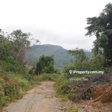 Agriculture land for Sale