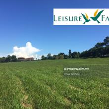 Flat Bungalow Land, Above Road Level