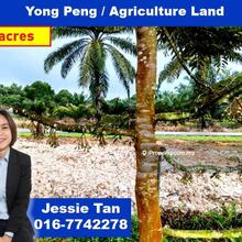 Yong peng ayer hitam agriculture land for sale
