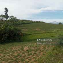 9 Acres Karak Freehold  Agricultural land For Sale