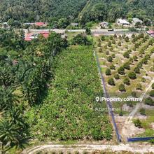 Nonbumi Agriculture Land @ Minyak Beku, Batu Pahat