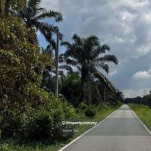 Pekan nanas agriculture land for sale