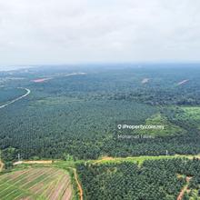 Flat land, infra ready, ready to build, well planned development
