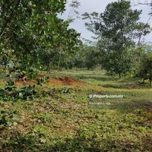 Balakong Cheras Jaya Kajang Nilai Agriculture Land For Sale