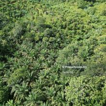 Sungai Siput Agriculture Land For Sale
