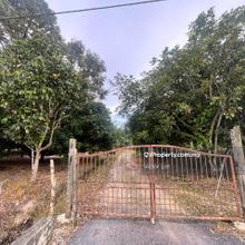 Pontian 7 Acres Land