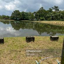 Fishing Pond Land for rent at Jalan Hulu Yam Bharu - Batu Caves