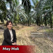 Freehold Below Value Nice Shape with Reserved Road Kuala Pilah Johol