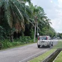 Serom 4 oil palm land in Taman can development
