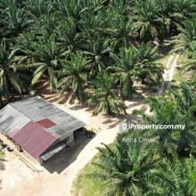 Agri-land ownership in Juasseh, including business and company!