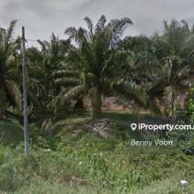 Sg. Siput Big Agriculture Land