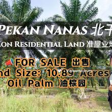 Pekan Nanas Zon Residential Land For Sale
