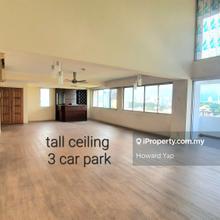 Duplex Penthouse. Fantastic view & serene. 3 car park. Grade A Condo