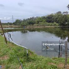 Kerling Kalumpang, Selangor, Agriculture Land For Sale