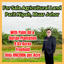 Agricultural Land with Palm Oil & Durian Plantation Muar Johor