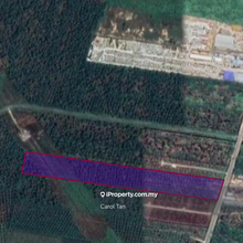 8.8 acres Agriculture Land Road side 