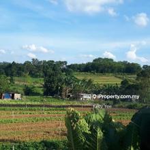 Agriculture Land @ Saleng, Kulai for Sale