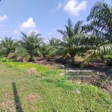 Flat Land Infra Ready 97327ft Agricultural Land Kuala Langat