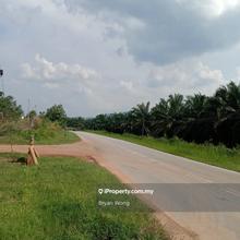 Simpang Pertang N9 Agriculture land with durian Tree for sale