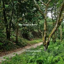 Attractive Agricultural Land for Sale - Kg Kemensah,  Gombak