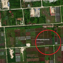 Non Bumi Lot agricultural land - Good storage or container parking 