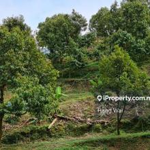 Agriculture land for Sale
