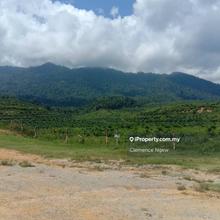 Agriculture land for Sale