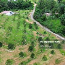 Perpetuity Durian Farm Mixed Zone Land @ 15 Mile, Kuching.