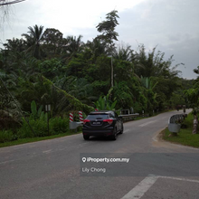 For Sale Oil Palm agriculture land 