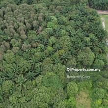 Linggi agriculture land 17 acre zone residence become development land