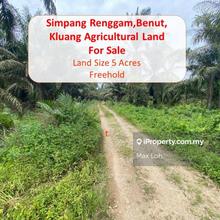 Simpang Renggam, Benut, Kluang, Agricultural Land