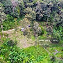 Kawasan Tinggi dan Bebas Banjir Tanah Berbukit sesuai jadikan kebun