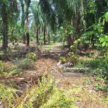 Residential zone, next to housing properties, road frontage