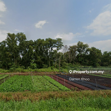Jalan Johan Setia, Klang  Bandar Putera  Agriculture land 1-4 acres