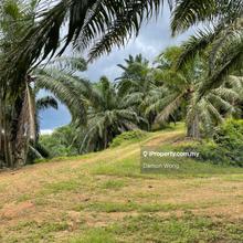 Agriculture land for Sale