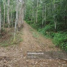 Jitra Kubang Pasu Wang Perah Agriculrual Land Tepi ade Sungai 
