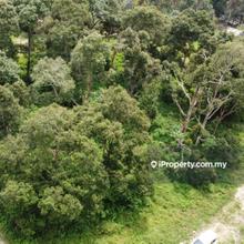 20 Acre Agriculture Land For Rent, Kampung Pulau Manis, Kuantan