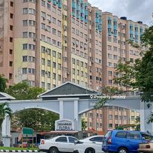 Desaminium flora Lestari Perdana seri kembangan for sale
