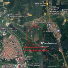 Musang King Durian land for sale