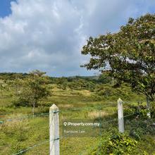 Agriculture land for Sale