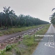 Land at KLIA, Bukit Changgang , Banting , Dengkil