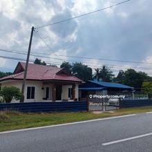 Rare Opportunity: House with Established Chili Plantation in Lenggong