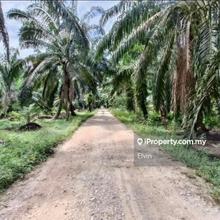 Cheapest 9 Acres Agriculture Land for sale in Tanjung Sepat . 