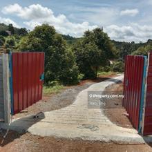Durian farm, 4.27 acres, fencing, ROI in 7.5 years, for sale