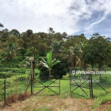 Durian Orchard For Sale