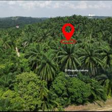 Potential Land 2.66 Acre Bukit Damar near Mex Highway